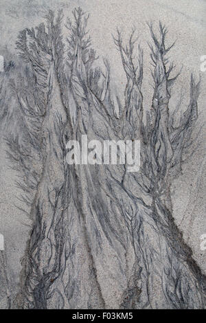 Des modèles dans le sable à gauche lorsque la marée se retire ressemblant à des arbres sur la plage de North Uist Hebrides Banque D'Images