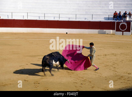 Torero en action lors d'une corrida à l'aide de la cape, Aracena, Andalousie, espagne. Banque D'Images