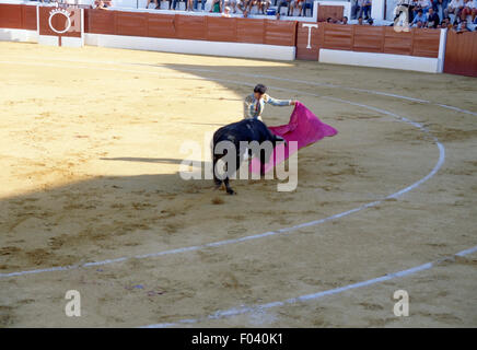 Torero en action lors d'une corrida à l'aide de la cape, Aracena, Andalousie, espagne. Banque D'Images