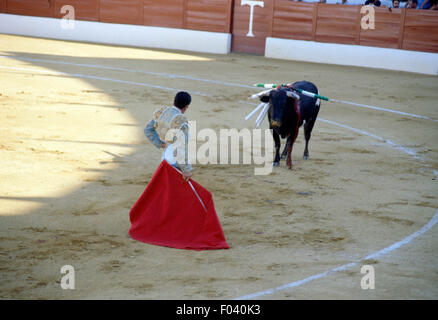 Torero en action lors d'une corrida à l'aide de la muleta (cape avec stick), Aracena, Andalousie, espagne. Banque D'Images
