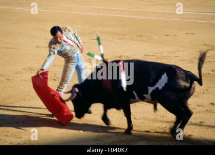 Torero en action lors d'une corrida à l'aide de la muleta (cape avec stick), Aracena, Andalousie, espagne. Banque D'Images