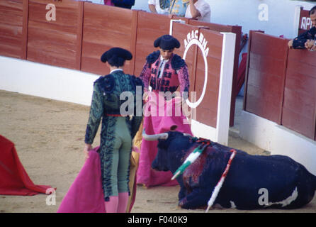 Porte-fanion (Banderilleros) à côté du taureau mourant, Aracena, Andalousie, espagne. Banque D'Images