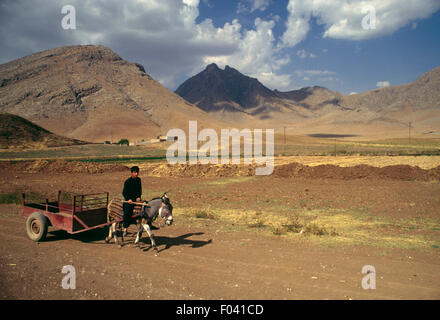 L'homme sur une charrette tirée par un âne, autour de Kangavar, Iran. Banque D'Images