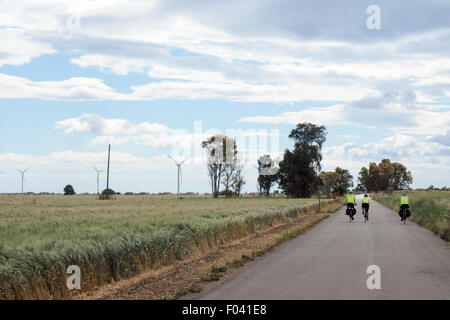 Trois des cyclotouristes à cheval sur une route de campagne par un champ de blé balayé par le vent et les éoliennes en arrière-plan. Banque D'Images