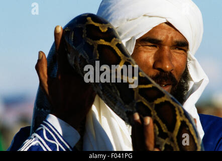 Homme avec snake, Festival du Sahara à Douz, Tunisie. Banque D'Images