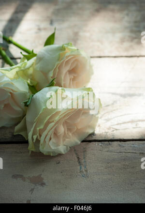 Trois roses sur la table en bois dans un patch de Sun Banque D'Images