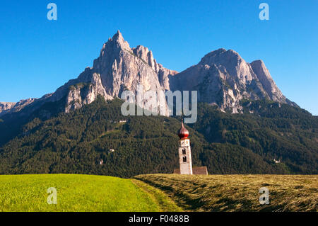 Vue sur le Schlern/Sciliar dans les Dolomites de pré dans la zone Alpe di Siusi, près de la ville de Siusi, Italie Banque D'Images