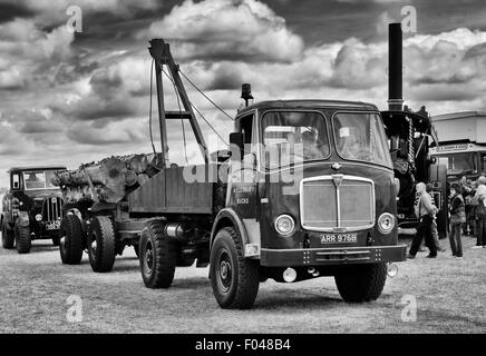 AEC Mammoth Matador Tracteur tirant sur des troncs de bois à un juste à vapeur en Angleterre. Le noir et blanc Banque D'Images