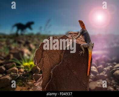 Rock à tête rouge lézard agama et silhouette d'un T-Rex, Namiba, Afrique. Digital composite Banque D'Images