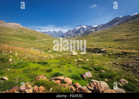 Le parc national de Stelvio, Gavia Pass, Valfurva, Alpes, Italie Banque D'Images