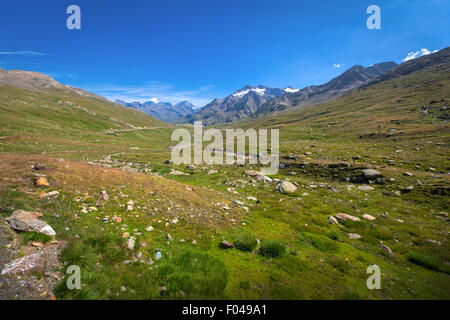 Le parc national de Stelvio, Gavia Pass, Valfurva, Alpes, Italie Banque D'Images