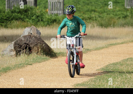 Bushy Park, SW London, Royaume-Uni. 6 Août, 2015. Météo France : un grand jour pour une promenade en vélo sur un après-midi ensoleillé de Bushy Park. Credit : Julia Gavin UK/Alamy Live News Banque D'Images