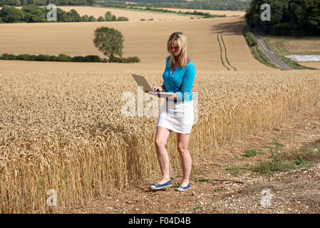 Woman with laptop l'arpentage du blé presque prêt pour la récolte Hampshire England UK Banque D'Images