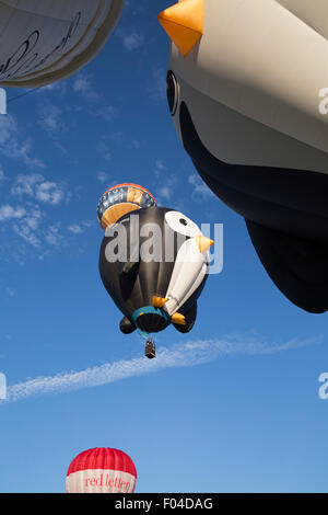 Ashton,UK, 6 août 2015,montgolfières décoller à la Bristol International Balloon Fiesta 2015 tandis qu'elle s'underwa Crédit : Keith Larby/Alamy Live News Banque D'Images