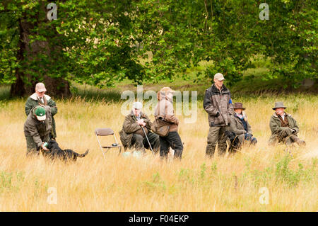 Jugeant la Gundog Team Test à Holkham Country Fair, tenue à Holkham Hall, Norfolk. Banque D'Images