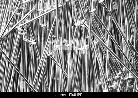 Clous de fer brillant la photo en gros Banque D'Images