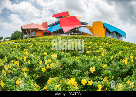 Biomuseo Frank Gehry architecture déconstructiviste colorée fleurs jaunes Panama City Panama | PANAMA CITY, Panama — les fleurs jaunes d'alamanda encadrent le Biomuseo, le musée d'histoire naturelle déconstructiviste de Frank Gehry sur la chaussée Amador. Les auvents métalliques pliés, peints en vert, bleu, jaune, rouge, et orange, ont été conçus pour évoquer les maisons peintes de style caribéen du Panama plutôt que le titane monochrome du Guggenheim Bilbao de Gehry. C'est le seul bâtiment achevé de Gehry en Amérique latine, ouvert par étapes entre 2014 et 2019. Banque D'Images