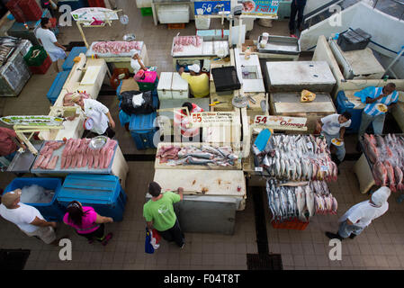 PANAMA CITY, Panama — le Marcado de Mariscos (marché de fruits de mer) sur le front de mer à côté de Casco Viejo à Panama City. Dans une section, les vendeurs vendent des fruits de mer frais de tous types, tandis qu'à côté se trouvent une série de restaurants de fruits de mer en plein air où le ceviche est une spécialité. Banque D'Images