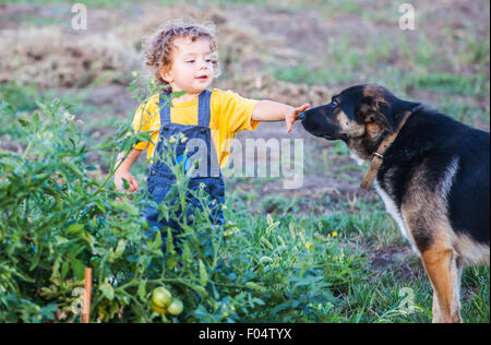 Portrait de bébé de 1 an Garçon jouant avec son chien, un ami. Banque D'Images