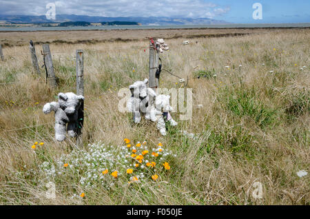 Ours memorial on clôture à Ocean Beach, Wairarapa, île du Nord, Nouvelle-Zélande Banque D'Images