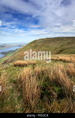 Bonscale ont chuté, Parc National de Lake district, comté de Cumbria, Angleterre, Royaume-Uni. Bonscale Fell est une des 214 marches Wainwright Banque D'Images