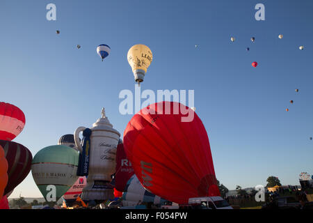 Ashton Cour, Bristol, UK, 07th Nov, 2015. Montée totale Masse tôt le matin à la Bristol International Balloon Fiesta 2015. Credit : Keith Larby/Alamy Live News Banque D'Images