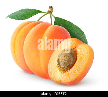 Abricots frais isolated on white Banque D'Images