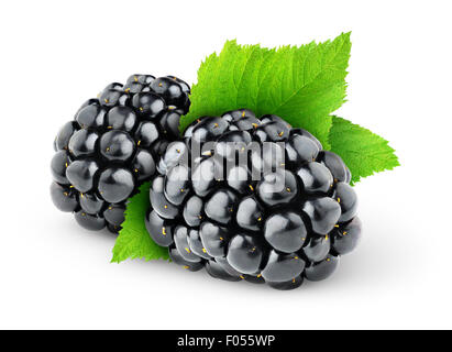 Deux blackberries isolated on white Banque D'Images