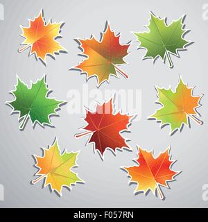Feuilles d'érable colorées isolé sur fond gris. Illustration de Vecteur
