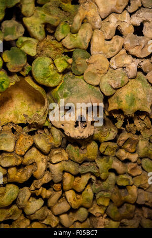 Crânes dans les catacombes, Paris, France Banque D'Images