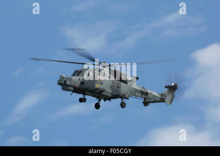 Nouvel hélicoptère de la Royal Navy, le Wildcat HMA2 Banque D'Images