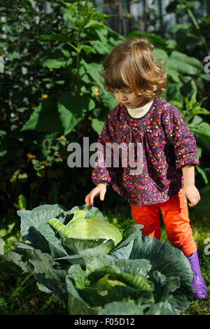 Petite fille dans le jardin avec du chou Banque D'Images