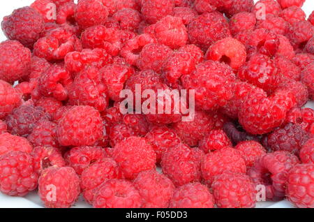 La framboise, Close up, studio Banque D'Images