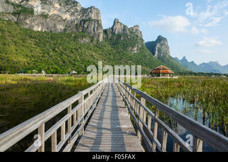 Pont sur étangs de lotus dans le parc national Banque D'Images