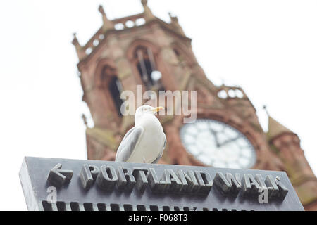 Barrow-inFurPortland à pied connexion ness town hall et un sea gull reming sur l'avis de destination Banque D'Images