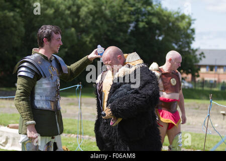 Wallsend, Tyne and Wear, Royaume-Uni. 8 Août, 2015. Festival d'Hadrien au Fort romain Segedunum : un gladiateur romain cools off son collègue qui porte un costume d'ours dans la chaleur de l'été. Le Festival d'Hadrien fait partie du programme d'activités à l'appui de l'Empire romain du British Museum : Power & Personnes exposition qui est sur l'affichage public 30 mai - 13 septembre 2015 Credit : Andrew Nicholson/Alamy Live News Banque D'Images