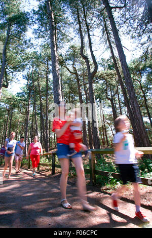 Écureuil Formby Réserver près de Liverpool, Royaume-Uni. 8e août 2015. Les touristes visitant l'Écureuil Formby réserver pour voir les écureuils dans leur environnement naturel et profiter des kilomètres de promenades côtières sur une glorieuse summers après-midi. Autos et les visiteurs d'attente pour entrer, afin qu'ils puissent profiter de la vue imprenable sur la mer ou un pique-nique. Nombreux propriétaires de chiens dirigé sur une promenade côtière pour afficher l'Formby littoral fascinant. Credit : Cernan Elias/Alamy Live News Banque D'Images