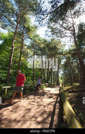 Écureuil Formby Réserver près de Liverpool, Royaume-Uni. 8e août 2015. Les touristes visitant l'Écureuil Formby réserver pour voir les écureuils dans leur environnement naturel et profiter des kilomètres de promenades côtières sur une glorieuse summers après-midi. Autos et les visiteurs d'attente pour entrer, afin qu'ils puissent profiter de la vue imprenable sur la mer ou un pique-nique. Nombreux propriétaires de chiens dirigé sur une promenade côtière pour afficher l'Formby littoral fascinant. Credit : Cernan Elias/Alamy Live News Banque D'Images