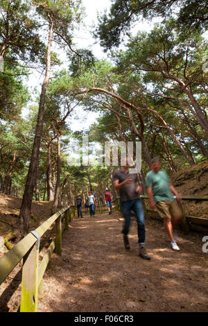 Écureuil Formby Réserver près de Liverpool, Royaume-Uni. 8e août 2015. Les touristes visitant l'Écureuil Formby réserver pour voir les écureuils dans leur environnement naturel et profiter des kilomètres de promenades côtières sur une glorieuse summers après-midi. Autos et les visiteurs d'attente pour entrer, afin qu'ils puissent profiter de la vue imprenable sur la mer ou un pique-nique. Nombreux propriétaires de chiens dirigé sur une promenade côtière pour afficher l'Formby littoral fascinant. Credit : Cernan Elias/Alamy Live News Banque D'Images