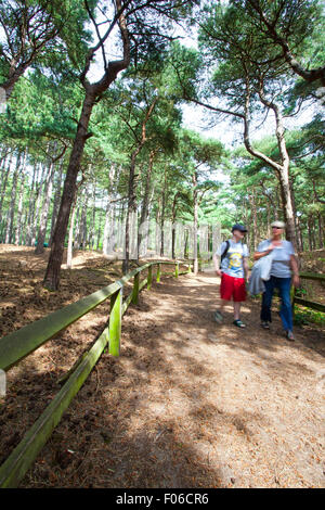 Écureuil Formby Réserver près de Liverpool, Royaume-Uni. 8e août 2015. Les touristes visitant l'Écureuil Formby réserver pour voir les écureuils dans leur environnement naturel et profiter des kilomètres de promenades côtières sur une glorieuse summers après-midi. Autos et les visiteurs d'attente pour entrer, afin qu'ils puissent profiter de la vue imprenable sur la mer ou un pique-nique. Nombreux propriétaires de chiens dirigé sur une promenade côtière pour afficher l'Formby littoral fascinant. Credit : Cernan Elias/Alamy Live News Banque D'Images