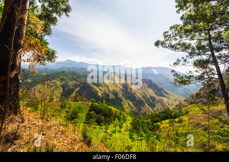 Vue grand angle de la montagne au Sri Lanka, du sommet d'Ella Rock, célèbre destination touristique et de voyage pour un Banque D'Images