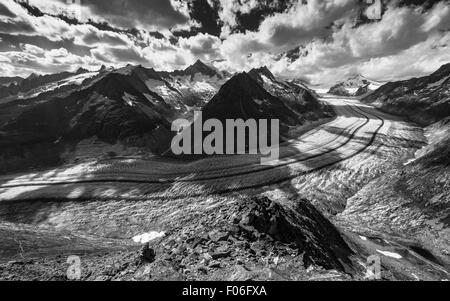 Le glacier d'Aletsch. Aletschgletscher. Alpes bernoises de l'est dans le canton suisse du Valais. Suisse. Paysage de montagne noir blanc. Banque D'Images