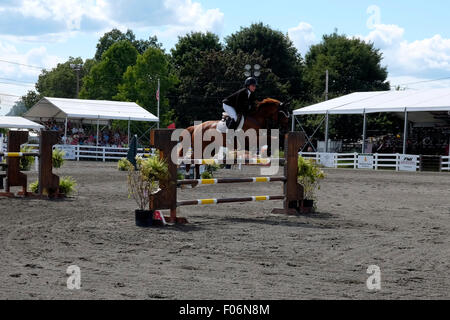 Concours hippique à NJ State Fair, Sussex County, New Jersey Banque D'Images