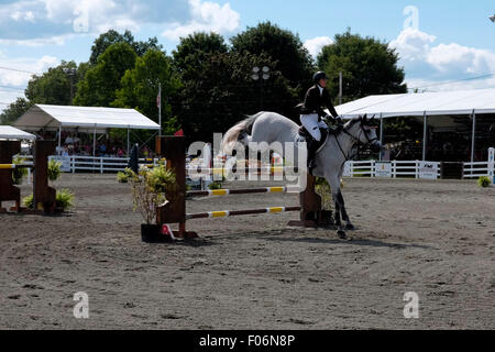 Concours hippique à NJ State Fair, Sussex County, New Jersey Banque D'Images