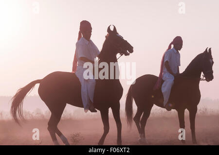 Deux hommes indiens équitation leurs chevaux Marwari bareback à l'aube. Banque D'Images