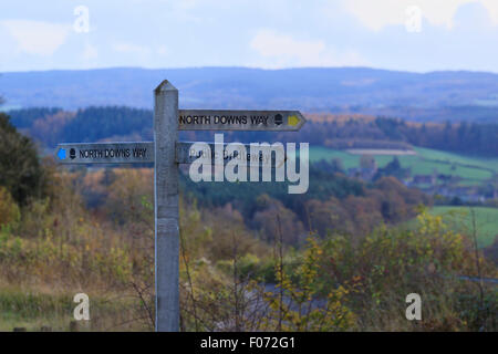 Un poteau de signalisation, de diriger les marcheurs dans les North Downs Way, un sentier national, à Newlands Corner, Guildford, Surrey Banque D'Images