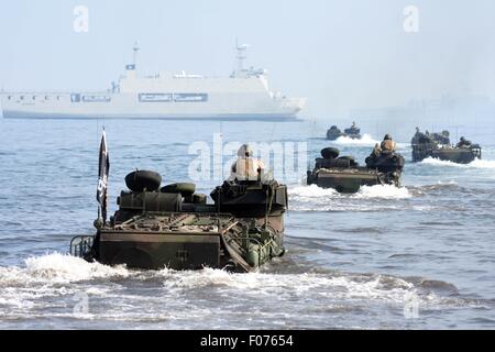 Situbondo, l'Est de Java, Indonésie. 8e août, 2015. SITUBONDO, INDONÉSIE - Août 09 : Les soldats de l'US Marines mener la formation au combat lorsque l'opération amphibie à Banongan Beach le 08 août, 2015 à Situbondo, Province de l'Est de Java, Indonésie. Les exercices conjoints de formation et de préparation à la coopération à flot (CARAT) 2015 suivi de l'Indonésie 676 marines Navy Marine Corps US Navy et les Marines, appuyé 14 unités de véhicules de combat amphibie-7 Véhicules d'assaut amphibie (AAV-7), 2 unités de LCAC USS Germantown, 4 unités de LVT-7 et de l'Indonésie, navire de guerre CARAT vise à accroître le professionnalisme de la Banque D'Images