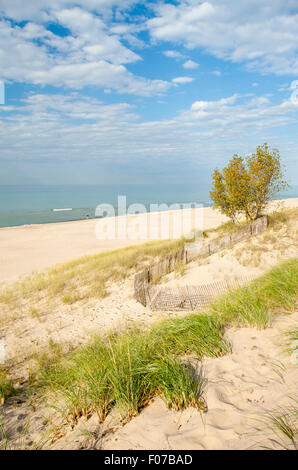 MOUNT BALDY DUNE Indiana Dunes National Lakeshore PORTER LE LAC MICHIGAN INDIANA USA Banque D'Images