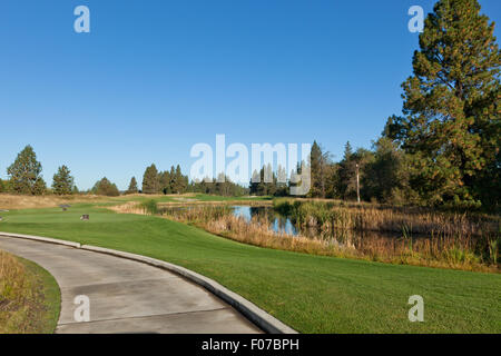 Un golf dans le Nord de l'Idaho qui est construite autour de l'environnement naturel de grands arbres et un étang avec un superbe ciel bleu. Banque D'Images