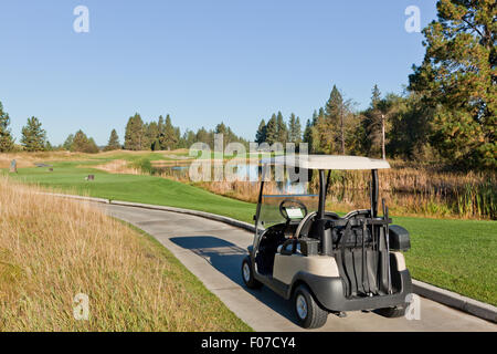 Une case vide assis sur un chariot de golf à un sentier pavé de golf inspiré de la nature, avec de grands arbres, un étang, et un ciel bleu clair. Banque D'Images